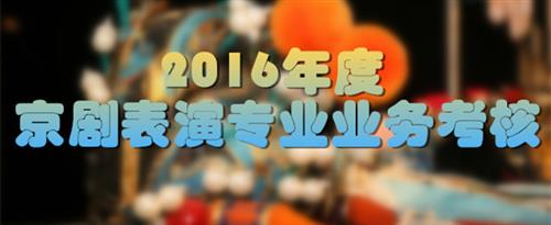 被被操插网站国家京剧院2016年度京剧表演专业业务考...